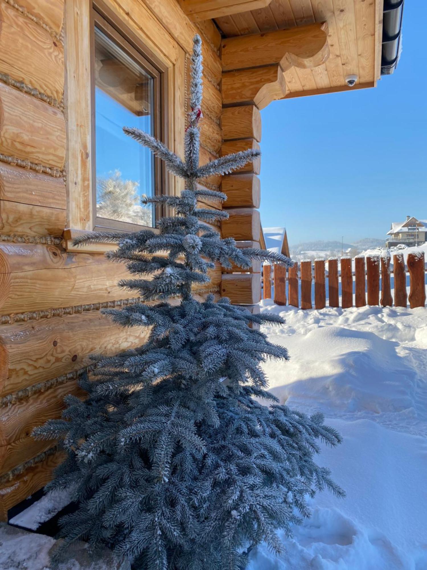 Zloty Gron Log Houses & Apartments Istebna Extérieur photo